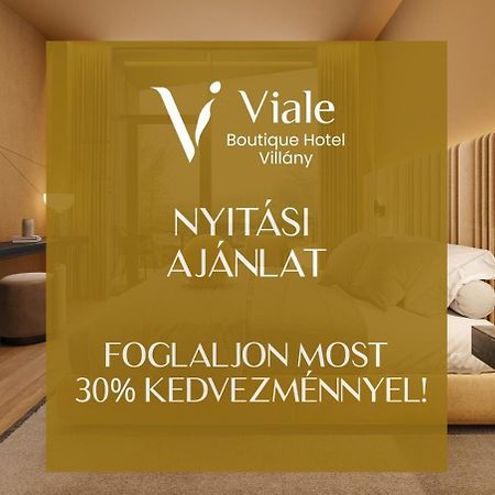 Viale Boutique Hotel Villany Luaran gambar